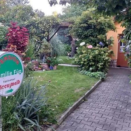 Füg