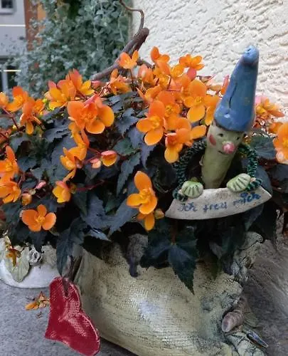 Affittacamere Fueg Dresda